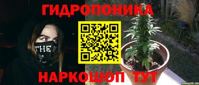 2c-b Дубна