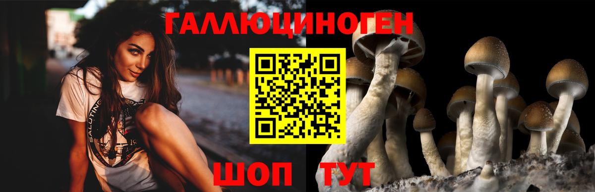Галлюциногенные грибы MAGIC MUSHROOMS Михайловск
